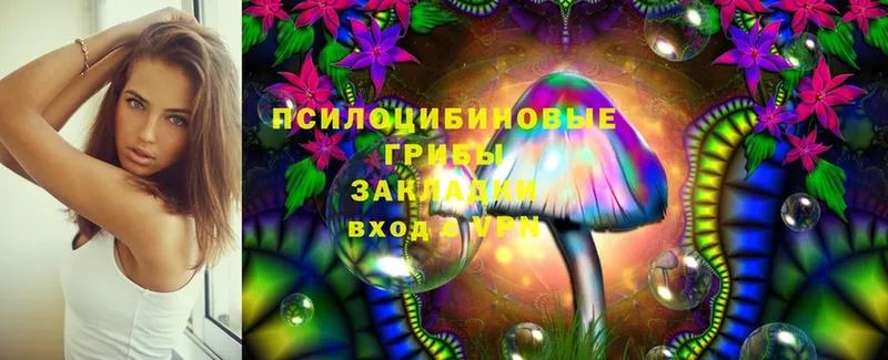 Галлюциногенные грибы Magic Shrooms  Дубовка 